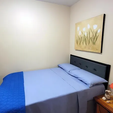 Bright & Cozy East Williamsburg 2 Bedroom